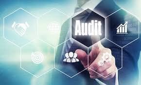 Triển khai thi hành Luật sửa đổi, bổ sung một số điều của Luật Kiểm toán Nhà nước