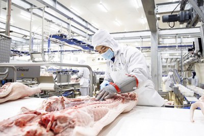 Đầu tư hàng loạt nhà máy chế biến nông sản