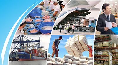 Quản lý chặt nguồn thu, hạn chế ảnh hưởng do dịch Covid-19 đến thu ngân sách