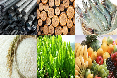 Hàng hóa Việt Nam không còn phải phụ thuộc một thị trường