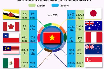 Không thể “bất chiến tự nhiên thành”