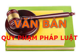 Có thêm 15 văn bản quy phạm pháp luật trong tháng 01/2019 