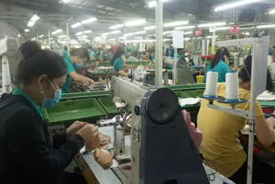 Thiếu nguyên liệu, doanh nghiệp có thể đóng cửa