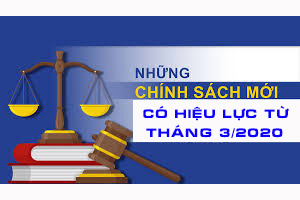 Những chính sách mới có hiệu lực từ tháng 3/2020