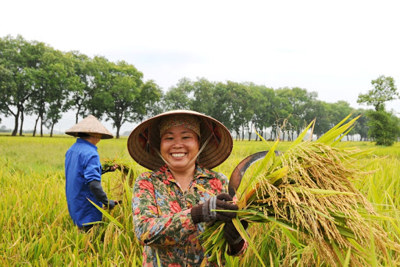 Bộ Tài chính đề xuất tiếp tục gia hạn thời gian miễn thuế sử dụng đất nông nghiệp đến hết năm 2025
