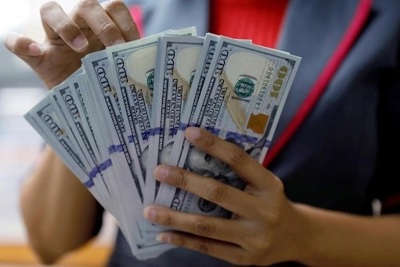 Giá USD hôm nay 25/3 giảm mạnh