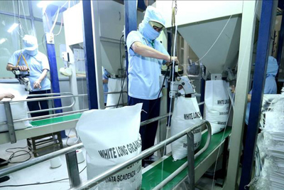 Bộ Công Thương: Tiếp tục xuất khẩu gạo nhưng kiểm soát chặt số lượng