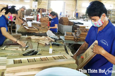 Thừa Thiên-Huế triển khai gia hạn thời gian nộp thuế và tiền thuê đất