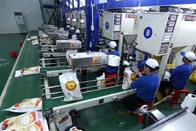 Tổng cục Hải quan khẩn trương thanh tra, kiểm tra hoạt động xuất khẩu gạo