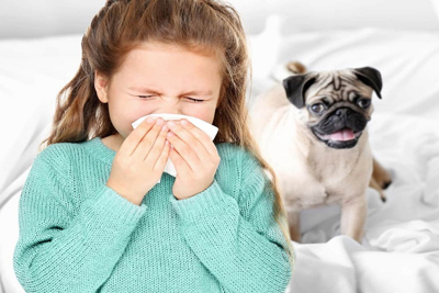 Hồng Kông: Khả năng nhiễm và lây truyền COVID-19 ở thú nuôi rất thấp