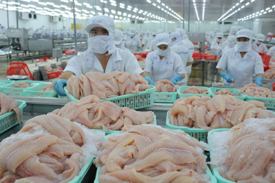 Hoa Kỳ giảm thuế cho doanh nghiệp xuất khẩu cá tra của Việt Nam
