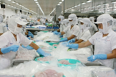 Những FTA thế hệ mới và cơ hội cho xuất khẩu nông sản