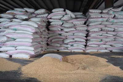 Thông tin thêm về kết quả kiểm tra tại các Cục Dự trữ Nhà nước khu vực