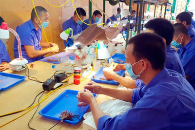 Kiến nghị sửa đổi Luật Phòng, chống ma túy