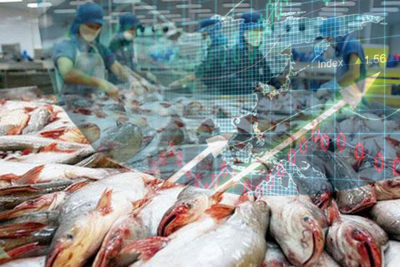 Cổ phiếu cá tra nổi sóng trước thông tin miễn thuế