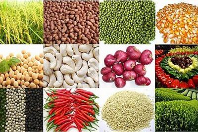 Nông nghiệp xuất siêu gần 3,3 tỷ USD