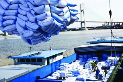 Xuất khẩu gạo tăng mạnh, giá cao nhất trong nhiều năm