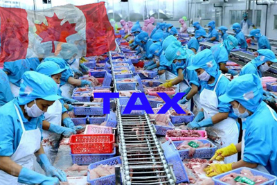 Hàng trăm hồ sơ xin hưởng thuế suất ưu đãi vào Canada