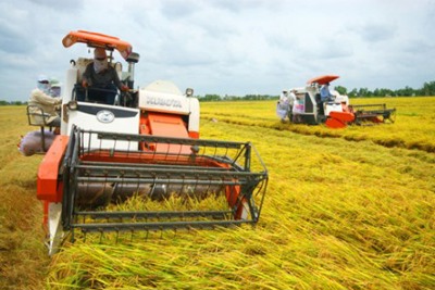 COVID-19: Việt Nam đã bảo đảm tuyệt đối an ninh lương thực quốc gia