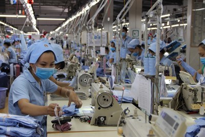 Cộng đồng doanh nghiệp phải lan toả mạnh mẽ giá trị phát triển bền vững