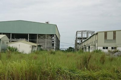 Xử lý dứt điểm các dự án thua lỗ 