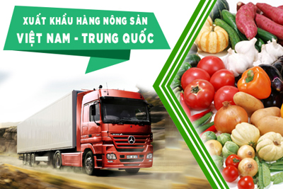 Doanh nghiệp cần đảm bảo quy định khi xuất khẩu sang Trung Quốc