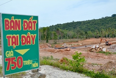Phú Quốc lại tạm dừng tách thửa, chuyển mục đích sử dụng đất