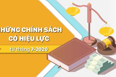 [Infographics] Chính sách mới có hiệu lực từ tháng 7/2020