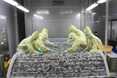 SCIC thoái vốn tại Công ty cổ phần Xuất khẩu Thủy sản Khánh Hòa