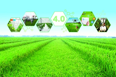 Phát triển nông nghiệp ở Việt Nam thời công nghệ 4.0