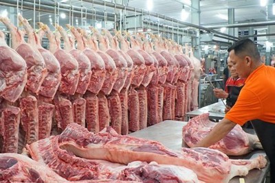 Giá thịt heo vẫn ở mức cao