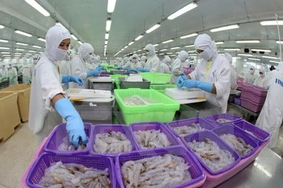 Xuất khẩu thủy sản 6 tháng đầu năm 2019 đạt gần 4 tỷ USD