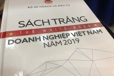 Sách trắng doanh nghiệp: Cơ hội để đánh giá lại sự phát triển