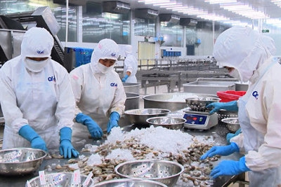 Thủy hải sản sơ chế để bảo quản thì không được ưu đãi thuế TNDN