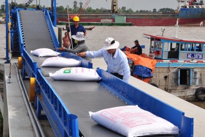 EU công bố hạn ngạch nhập khẩu nông sản và gạo Việt Nam theo EVFTA