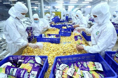 Hơn 49% doanh nghiệp đánh giá xu hướng kinh doanh sẽ tốt lên