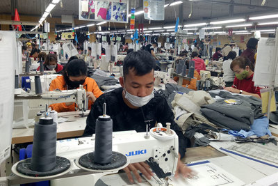 Dịch Covid-19 khiến thu nhập của nhiều hộ gia đình Việt Nam giảm tới 70%