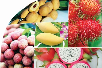 FTA mở ra điều kiện để hàng hóa Việt Nam đi vào thị trường cao cấp