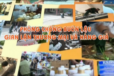 Chính phủ quyết liệt chỉ đạo phòng, chống tội phạm, buôn lậu, gian lận thương mại