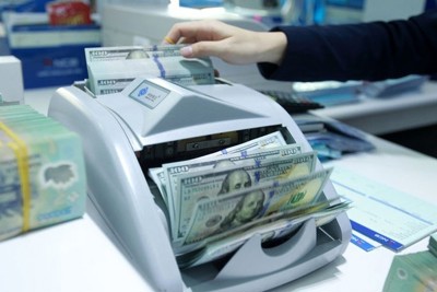 Nợ nước ngoài của Chính phủ giảm rất mạnh, tốc độ tăng nợ rất thấp