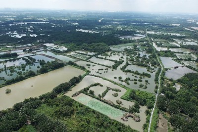 Còn tới 50 tỉnh, thành chưa hoàn thành kiểm kê đất đai 