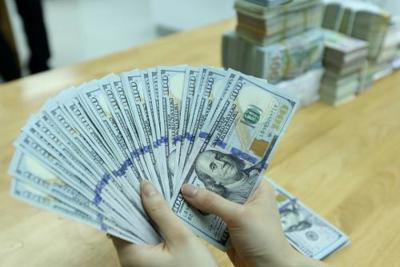 Sáng 16/8: Tỷ giá giữa đồng Việt Nam và đô la Mỹ ổn định