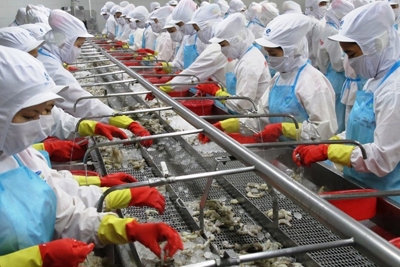 Thuế xuất vào Mỹ về 0%, cổ phiếu ngành tôm hưởng lợi