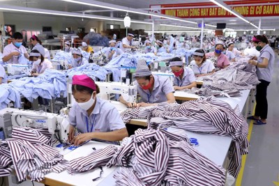 Tận dụng cơ hội từ Hiệp định Thương mại tự do Việt Nam - EU