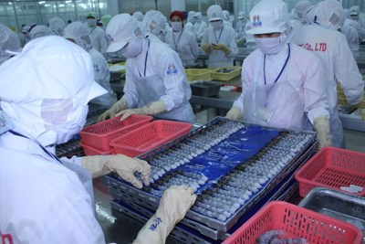 Những lưu ý cho doanh nghiệp khi xuất khẩu vào thị trường Mỹ