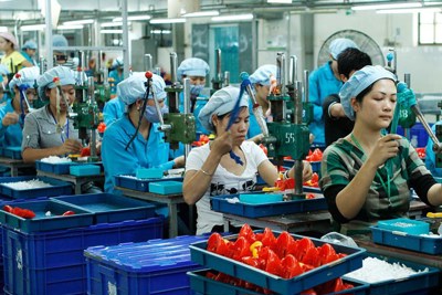 Quy định mới về cơ chế xử lý rủi ro của Quỹ bảo lãnh tín dụng cho DNNVV