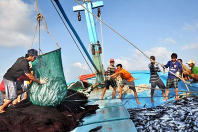 Dự kiến ngành, nghề nào hạn chế tiếp cận thị trường đối với nhà đầu tư nước ngoài?