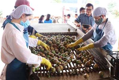 Thị trường xuất khẩu sẽ “bùng nổ”