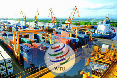 WTO ra mắt cơ sở dữ liệu mới về cấp giấy phép nhập khẩu