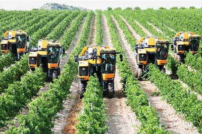 Giá trị sản xuất nông nghiệp tăng đều qua các năm